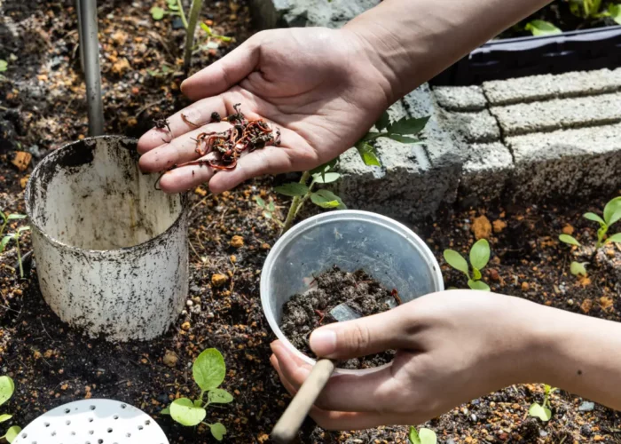 Les lombrics : les jardiniers secrets qui font prospérer votre jardin