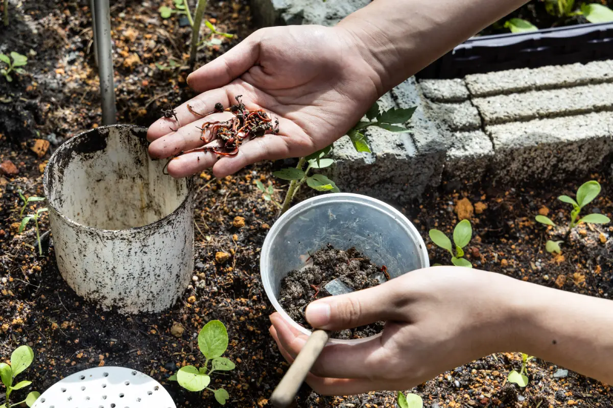 Les lombrics : les jardiniers secrets qui font prospérer votre jardin