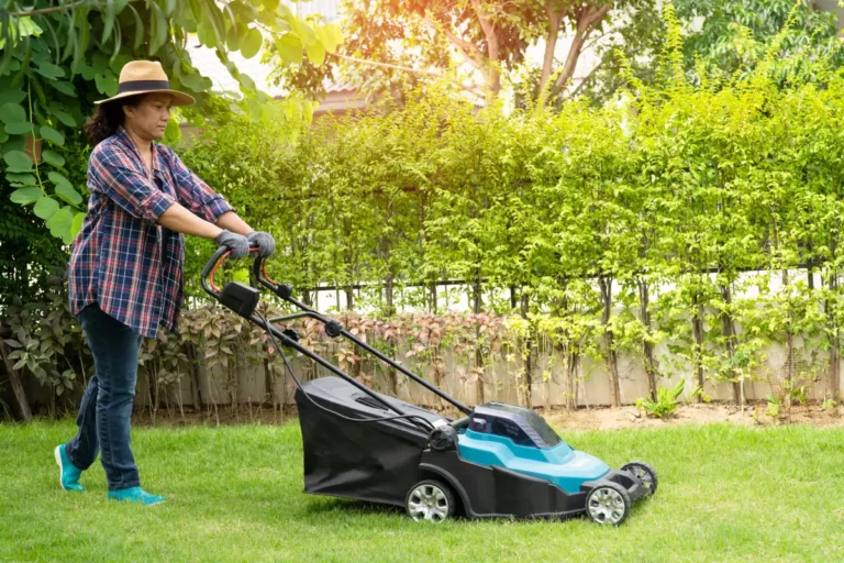 Les tontes de pelouse, une ressource insoupçonnée pour votre jardin