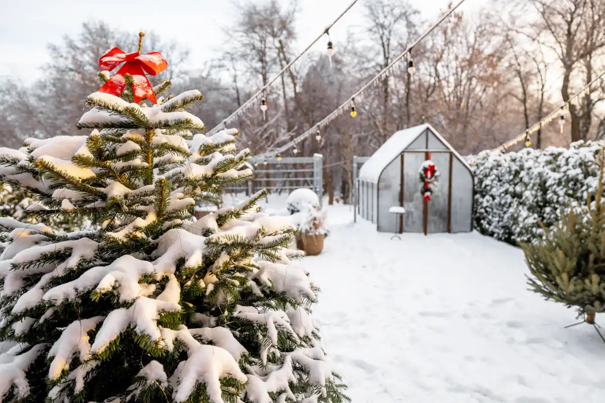 Guide pratique pour préparer votre jardin pour les gelées de décembre