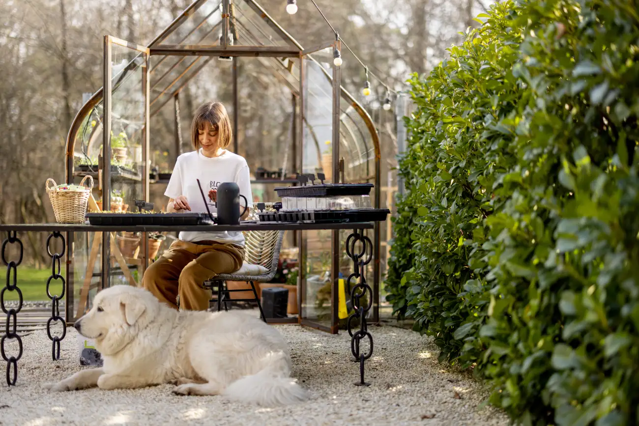 Recycler les végétaux du jardin en décorations festives