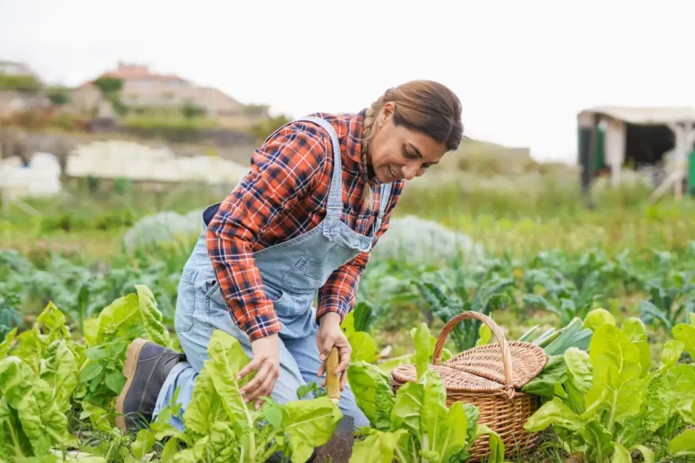 3 travaux indispensables à faire dans votre potager ce 14 novembre