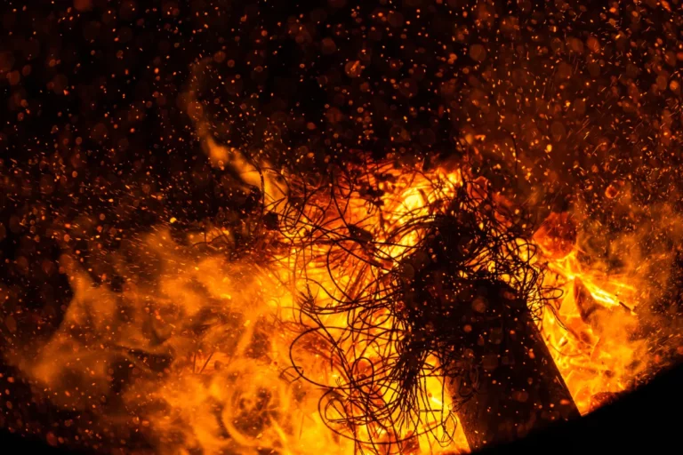 Quels sont les arbres à planter dans votre jardin pour lutter contre les incendies ?