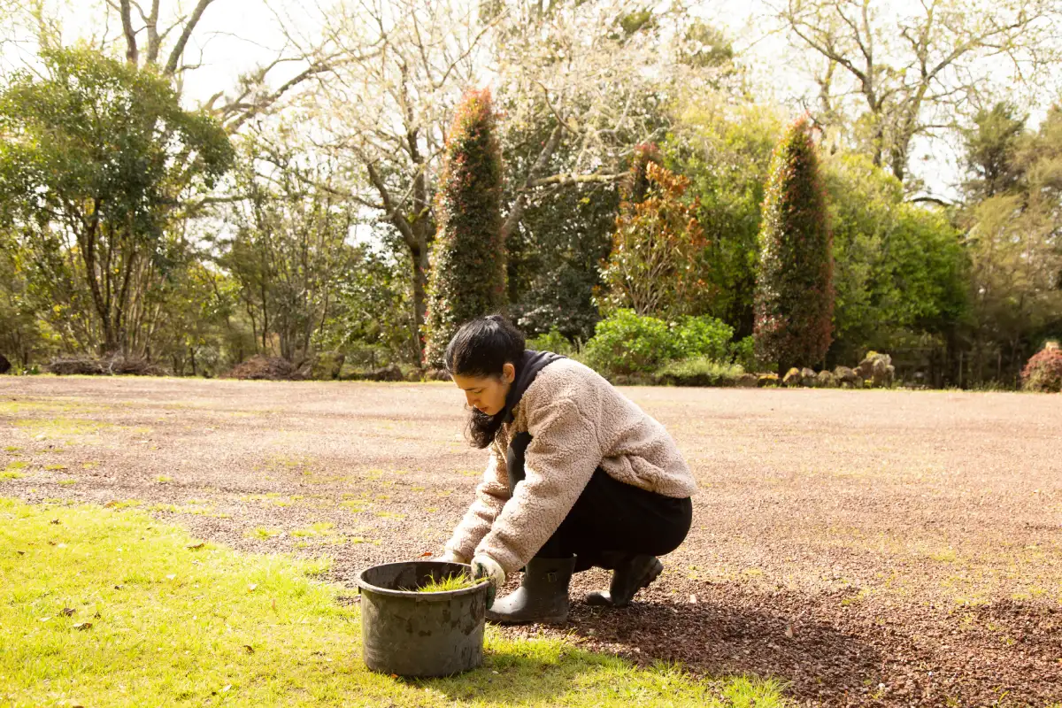 Fin février : est ce déjà l'heure de prendre soin de votre gazon pour préparer l'été ?