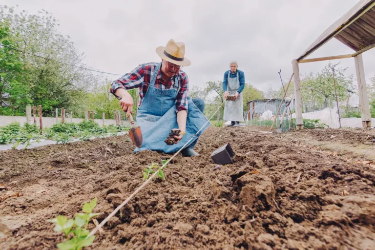 Les bases pour démarrer son potager bio en mars