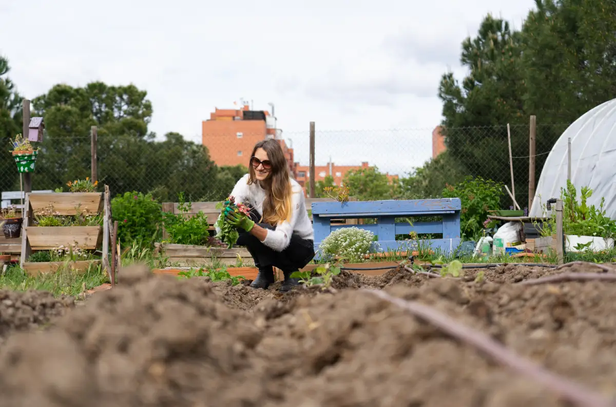 Votre guide des techniques de permaculture pour un potager bio réussi en mars